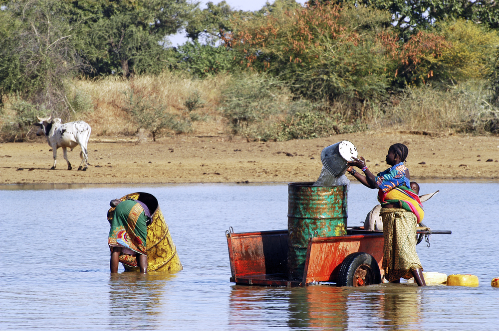 people collecting lake water