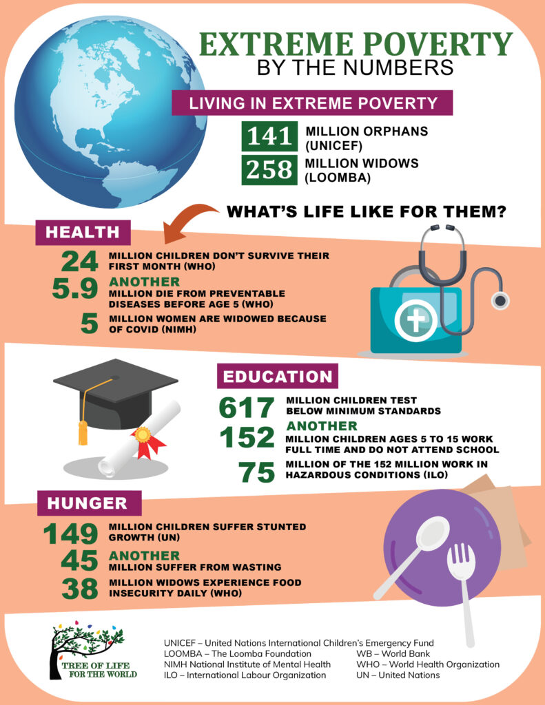 extreme poverty by the numbers