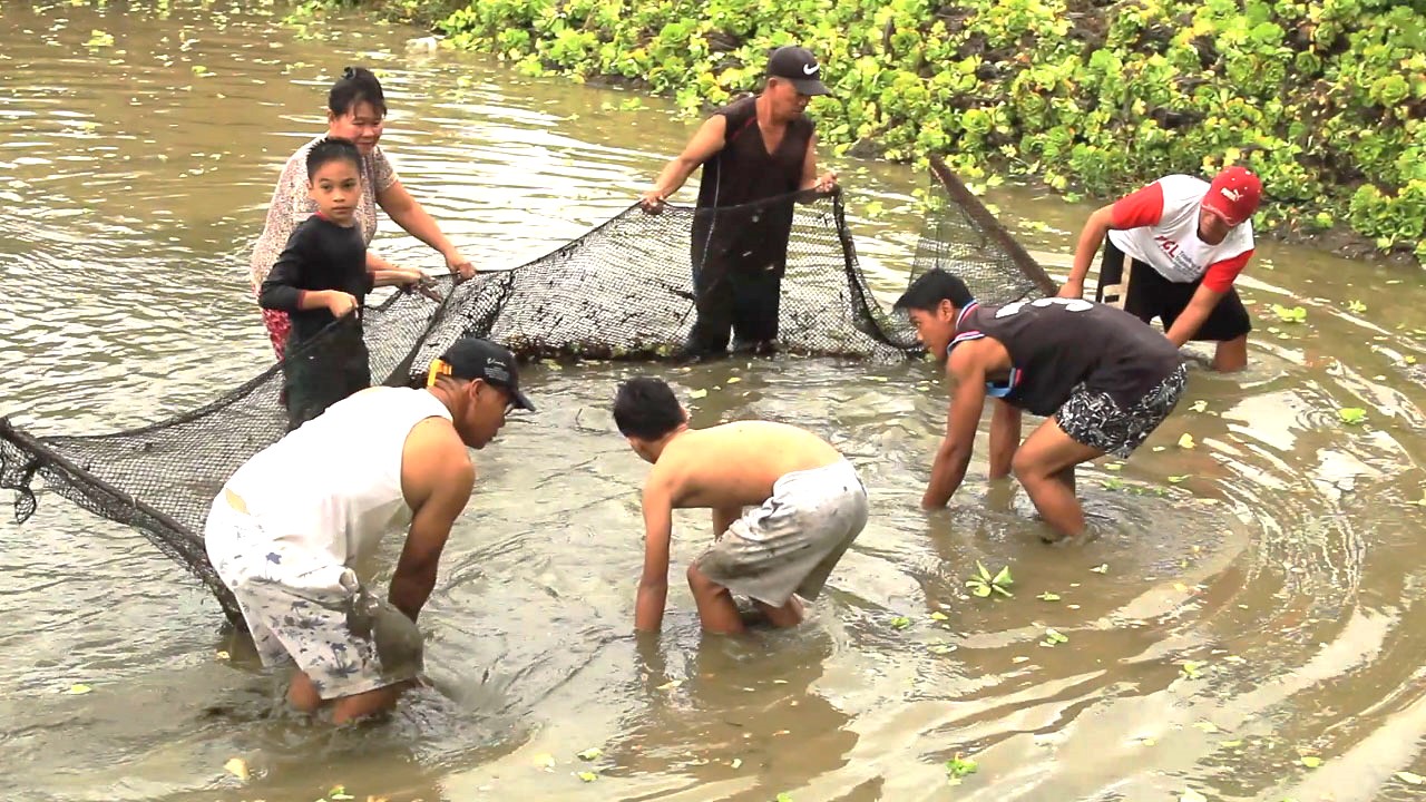 Community Empowerment - Tree of Life for the World